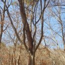 가산산성 | 대구 시민의 축복, 가산산성 맨발 등산으로 스트레스 해소! (feat. 가을의 끝자락)