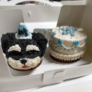 견주당 | 경기 성남 | 강아지 머핀 케이크 분당 강아지 수제간식 전문점, 견주당