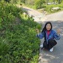 고인돌마을 이미지