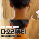 다오리샵 네이버블로그