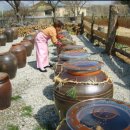 종부손맛 이미지