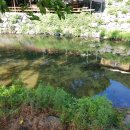 공주계곡 민박 이미지