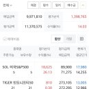 가야에스엔피