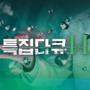 MBN TV - 2021년 2월20일(토) 일일 방송편성표 이미지