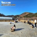 민속의집 화장실 | 구미 칠곡 무료 얼음썰매장 두만지 민속썰매 솔직후기