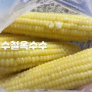 옥수회관 | 수철옥수수 / 노원구민회관 옥수수 위치 웨이팅 솔직 후기