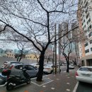 해오름2로 이미지