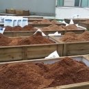 바이오그린 이미지