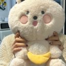 보떼벨로 이미지