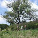 추억여행 이미지