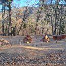 일퍼센트,일백퍼센트 이미지