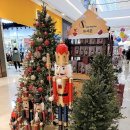 명동베이커리 이미지