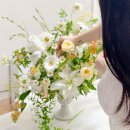 세르플라워