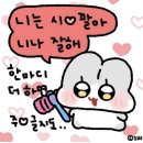 이유(EU) 이미지