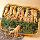 조은식품 이미지