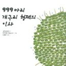 카즈오컴퍼니 이미지