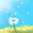 민들레유통