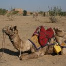 혹불이 영감 이미지