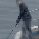 동해-단속-12 이미지