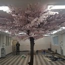금화조경