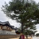 남해-309 | 송도 한옥 호텔 경원재 디럭스 스위트룸 1박 후기