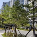 용지더샵탑공인중개사사무소 이미지