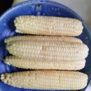 임경순농장 이미지