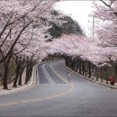 팔공산 조망 이미지