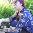 박미향 농장 이미지