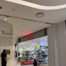 아프리카 안경 구의 이스트폴 이미지