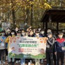 숲 체험 리틀 포레스트 이미지