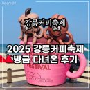 알면 더 향긋한 커피 인문학 | 강릉 커피축제 2024, 가을 바다 향기와 함께한 강릉 축제 10월 리뷰