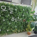 오늘 헤어