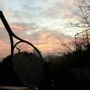 창원시립테니스장 코트장 | 창원 테니스 스트링?동아테니스샵🎾창원테니스 全成時代🎾