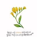 꽃내음 이미지