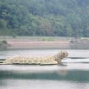 가평관광안내소 이미지