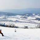 알펜시아 스키 & 스노우보드 이미지