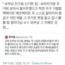 드림보부상