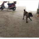 기선농장 이미지