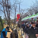 포그팜 | [공지] [3월 28일 최신 후기] 사람 구경 실컷 하고 온 논산 딸기 축제 상세 리뷰! 이건 먹고 저건 피해라