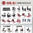 홍키통키 이미지