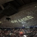 216 | 프로농구 서울 SK농구 SK나이츠 4강 플레이오프 첫경기 직관 후기 216구역