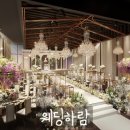 라온제나 이미지