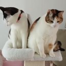 국민건강보험공단 부산사하지사 이미지