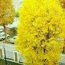 하얀도화지 이미지