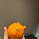 석촌고분역1번출구(뒤) 이미지