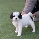 유어라운지 이미지