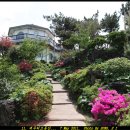 동산1로 이미지