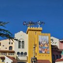 캐리비안 | 캐리비안베이 겨울 솔직후기/캐리비안베이 카피바라/캐리비안베이 준비물