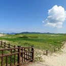 신두리유통